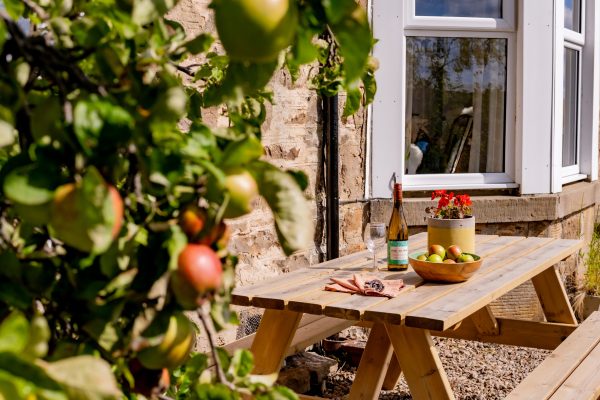 The apple tree is in full fruit, with room to dine outside