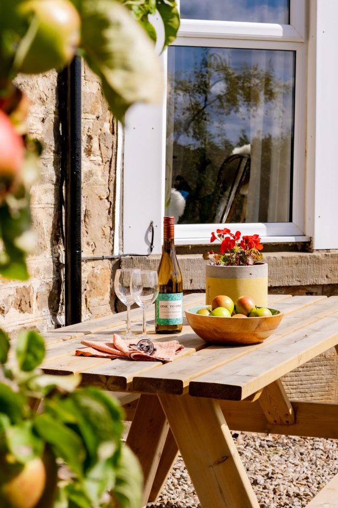 Picnic time in the fresh air